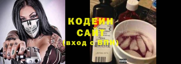 прущий лед Касимов