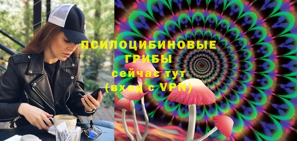 прущий лед Карпинск
